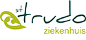 Logo Sint-Trudo