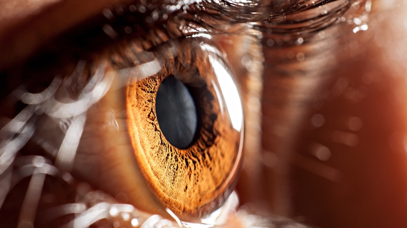 ogen, ouderdomsverschijnselen, glaucoom, cataract